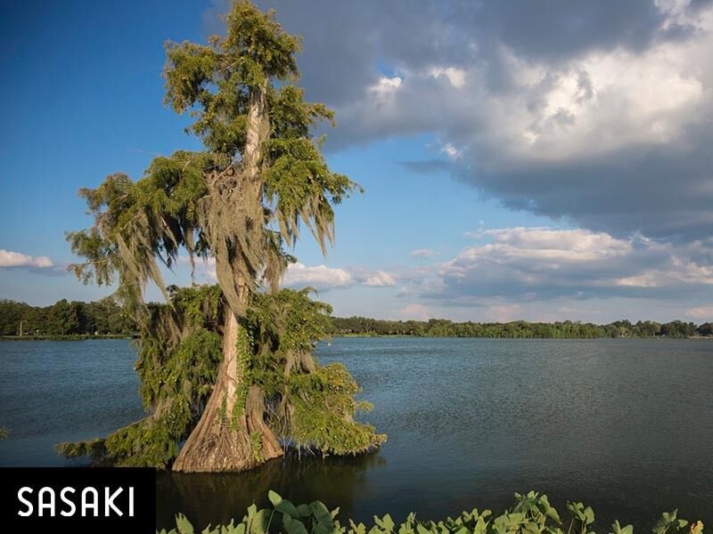 Phase I Kicks Off on University Lakes Restoration